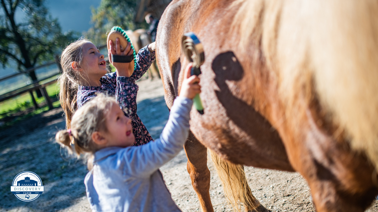 Insider Latest News (12)